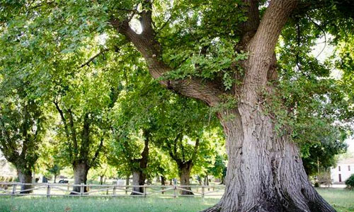 turismo-en-cabeza-del-buey-visita-cabeza-del-buey-santuario-belén